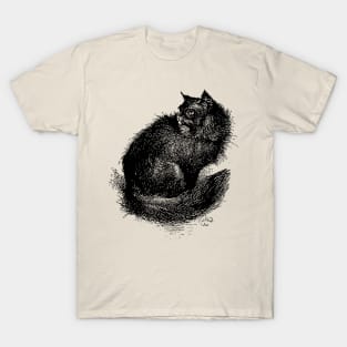 A Gentle Fuzzy Cat T-Shirt